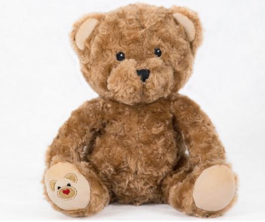 Honey the heart recording bear Plush heart recording bear